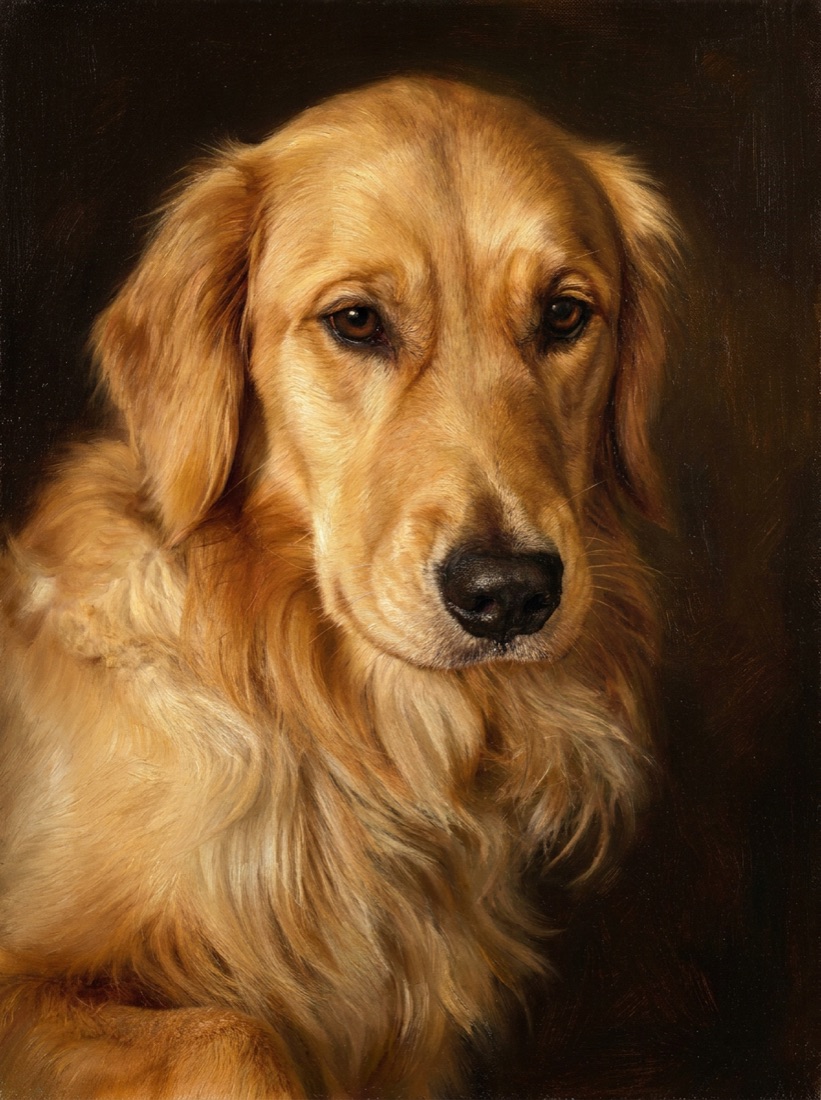 Hand-painted oil portrait of a golden retriever